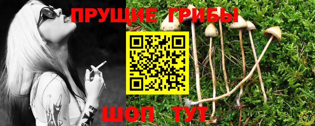 НБОМе Людиново