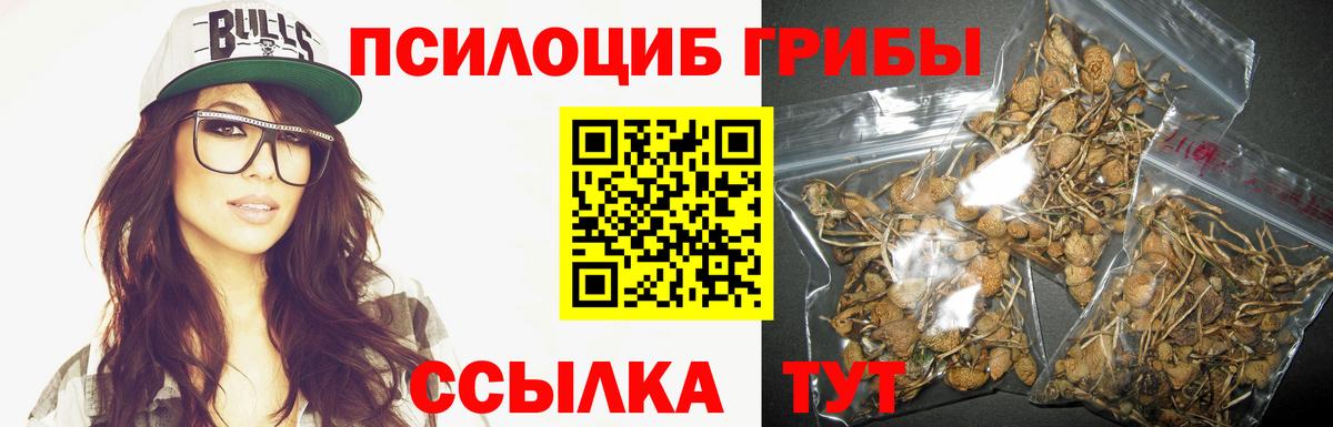 Галлюциногенные грибы мицелий Людиново