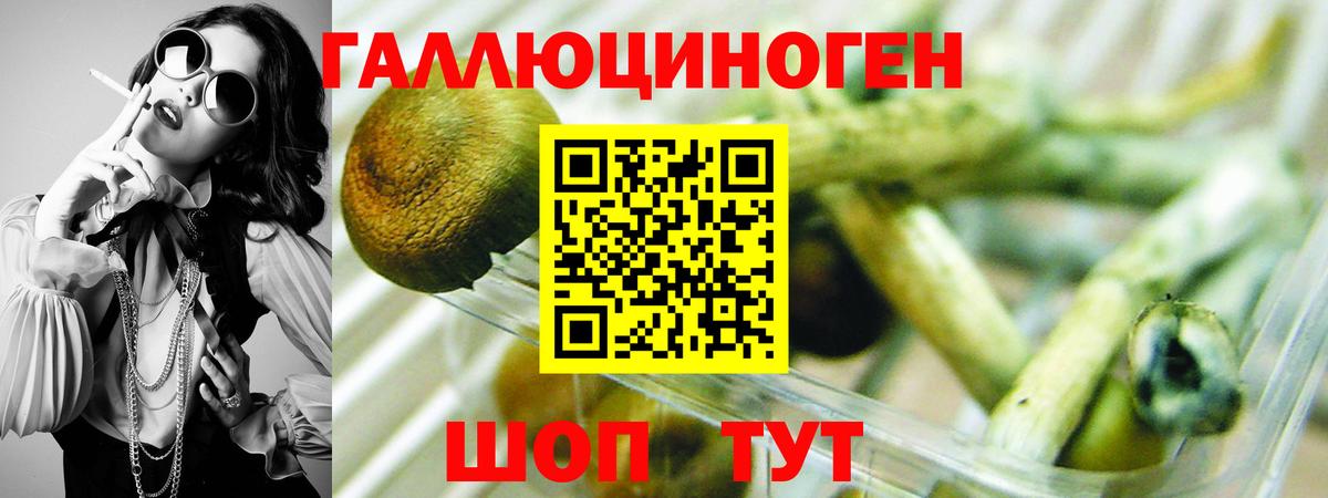 Людиново  Галлюциногенные грибы Magic Shrooms  Вход с VPN  Галлюциногенные грибы MAGIC MUSHROOMS 