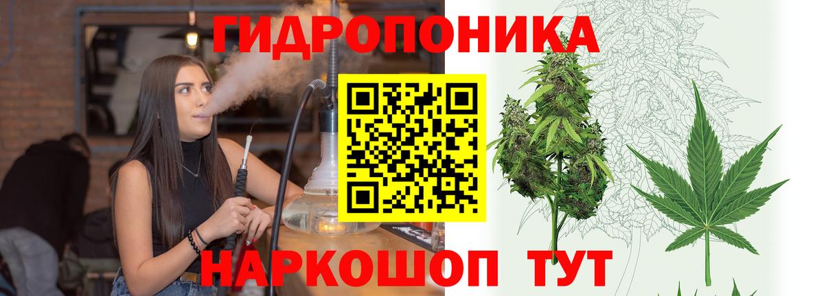 Бошки Шишки конопля  МАРИХУАНА White Widow  Людиново  Бошки марихуана Ganja  Канабис план  Вход с VPN 