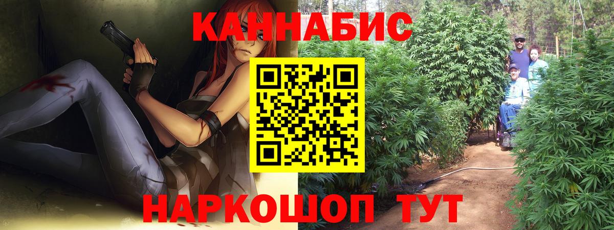 Бошки Шишки план Людиново